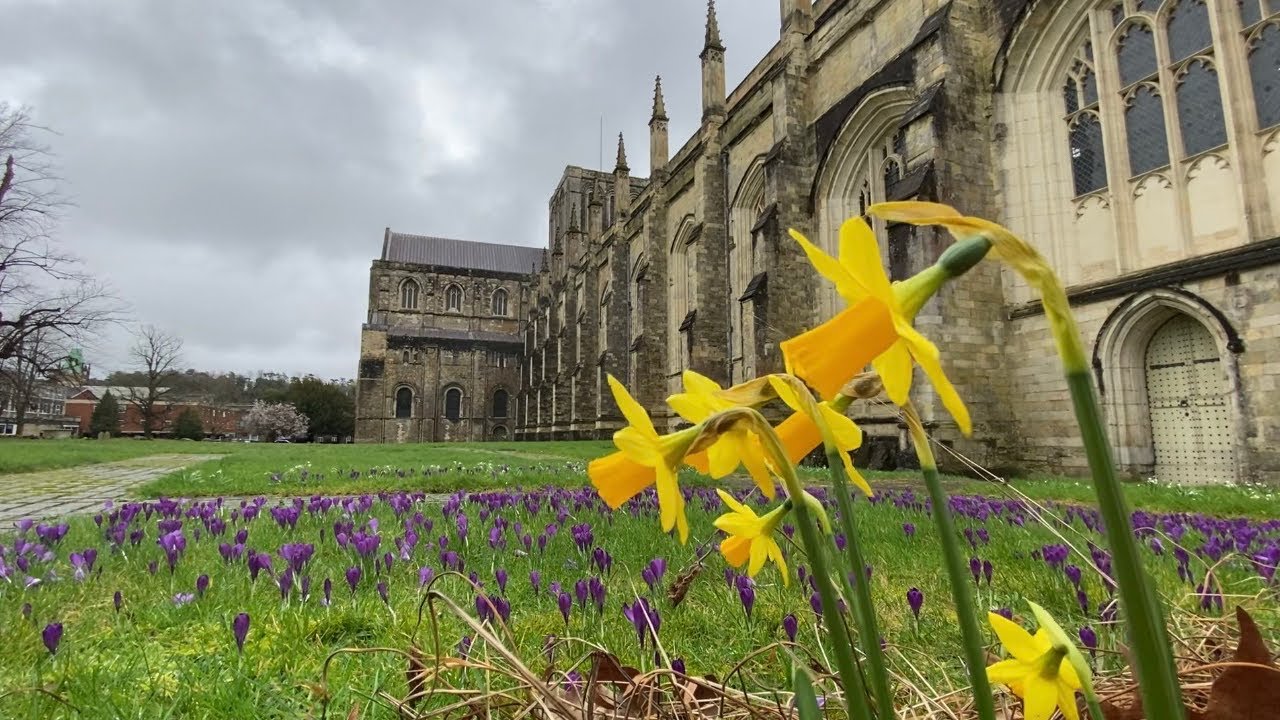 Wild and windy Winchester springtime bells 