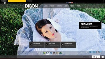 Digon Responsive Fullscreen Studio for WordPress      Graeme Korey