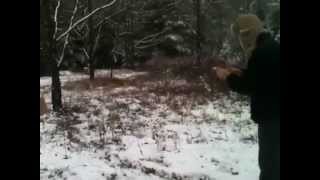 Shooting the Galesi Brescia .25acp