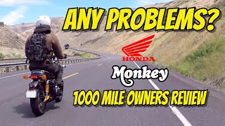 Honda Monkey Review After 1000 Miles  What Do I Think Of It?  An Owners Perspective