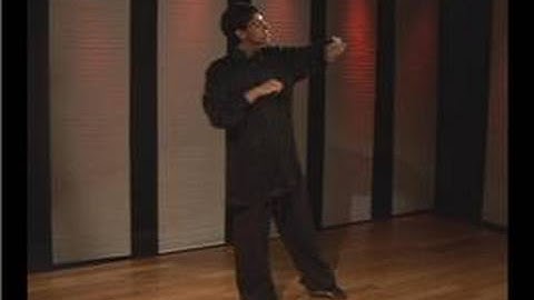 Kung Fu Fighting : Praying Mantis Palm Block Low High Strike