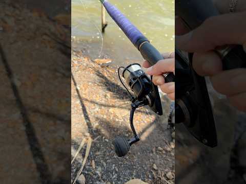 Trải nghiệm câu cá Bà Rịa #fishing #cauca #vyhanfishing