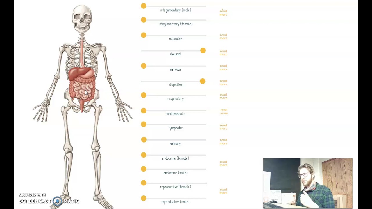 10.A Intro to Body Systems YouTube