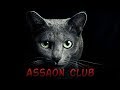 Assaon club  cat fantasy