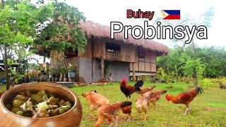 Rainy season has come | Cooking native tinolang manok and planting cassava | Biag ti Away by Balong