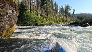 Marten Rapid (branch in standard line), McKenzie River, July 2026, 1950 cfs