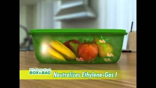 Always Fresh Box And Bag