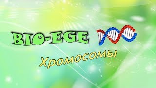 Bio-ege | Урок №4 Хромосомы готовимся к ЕГЭ биология Bio-ege | Урок №4 Хромосомы готовимся к ЕГЭ биология