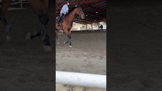 I rode an ottb! Raw, pls check the comments! #horse #showpony #equestrian