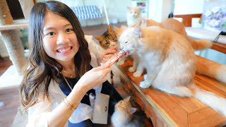 PERGI KE CAFE KUCING!! BANYAK KUCING KEMBAR DISINI!!