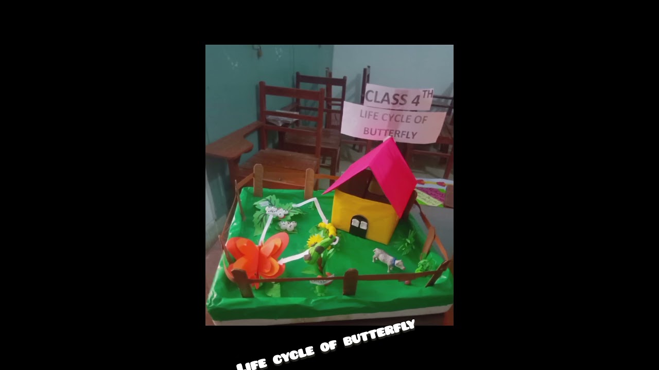 Butterfly lifecycle science project