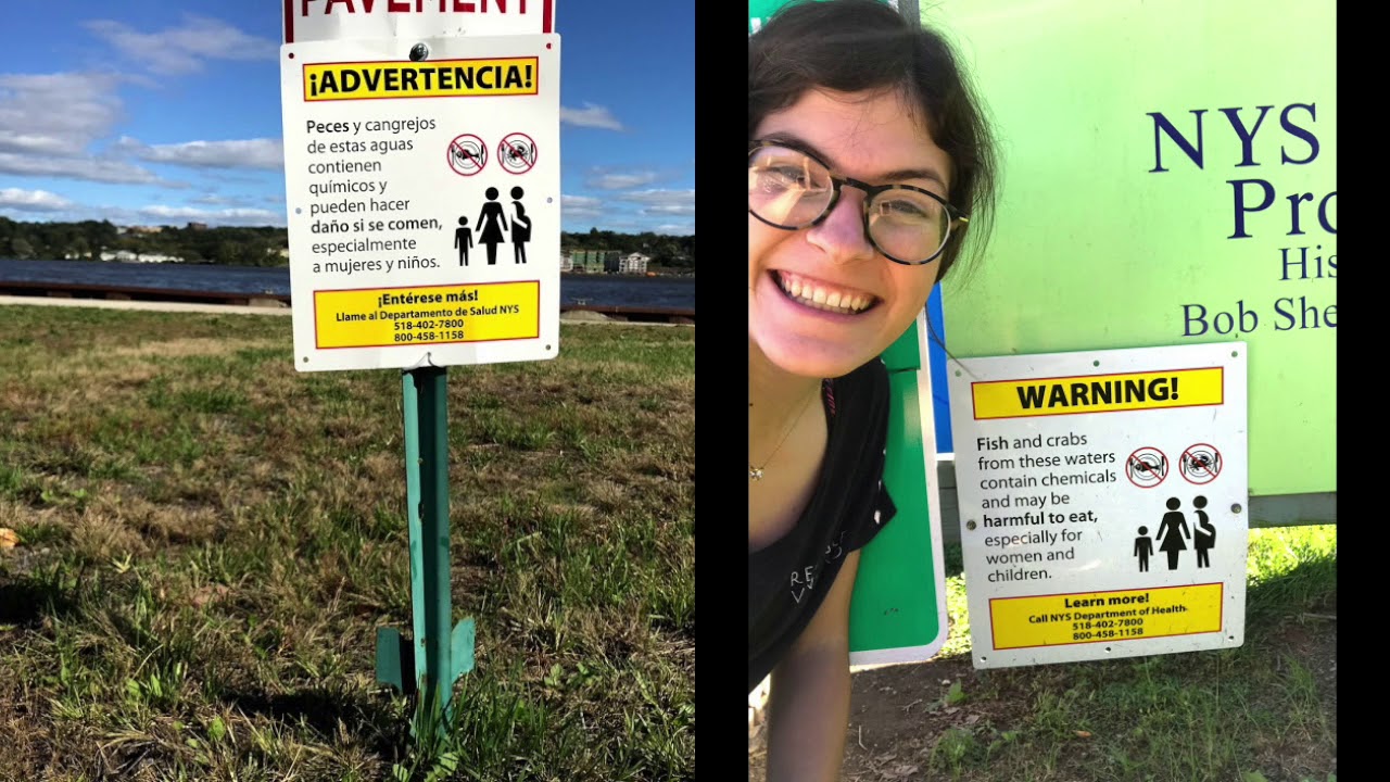 The Hudson River: Past, Present, and Future.