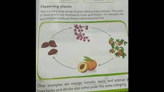 Seed - bearing plants - Science - Class: 3