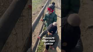 Fun activities for kids | Visiting farm animals at Mudchute park | Life in London #animals #baby