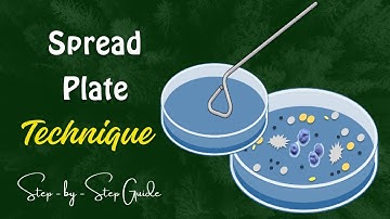 Master the Art of Spread Plating: Step-by-Step Guide for Perfect Results 🎯🧫