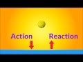 Newton's Third Law and Forces