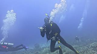 Hawaii Big Island Diving - Kona Coast