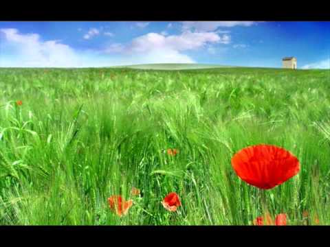 OROVELA   ოროველა