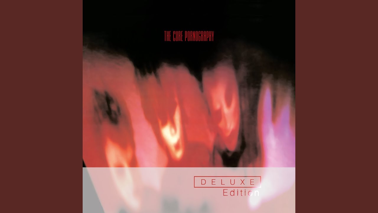 Pornography (Live In The Hammersmith Odeon, London, UK / May 1982)