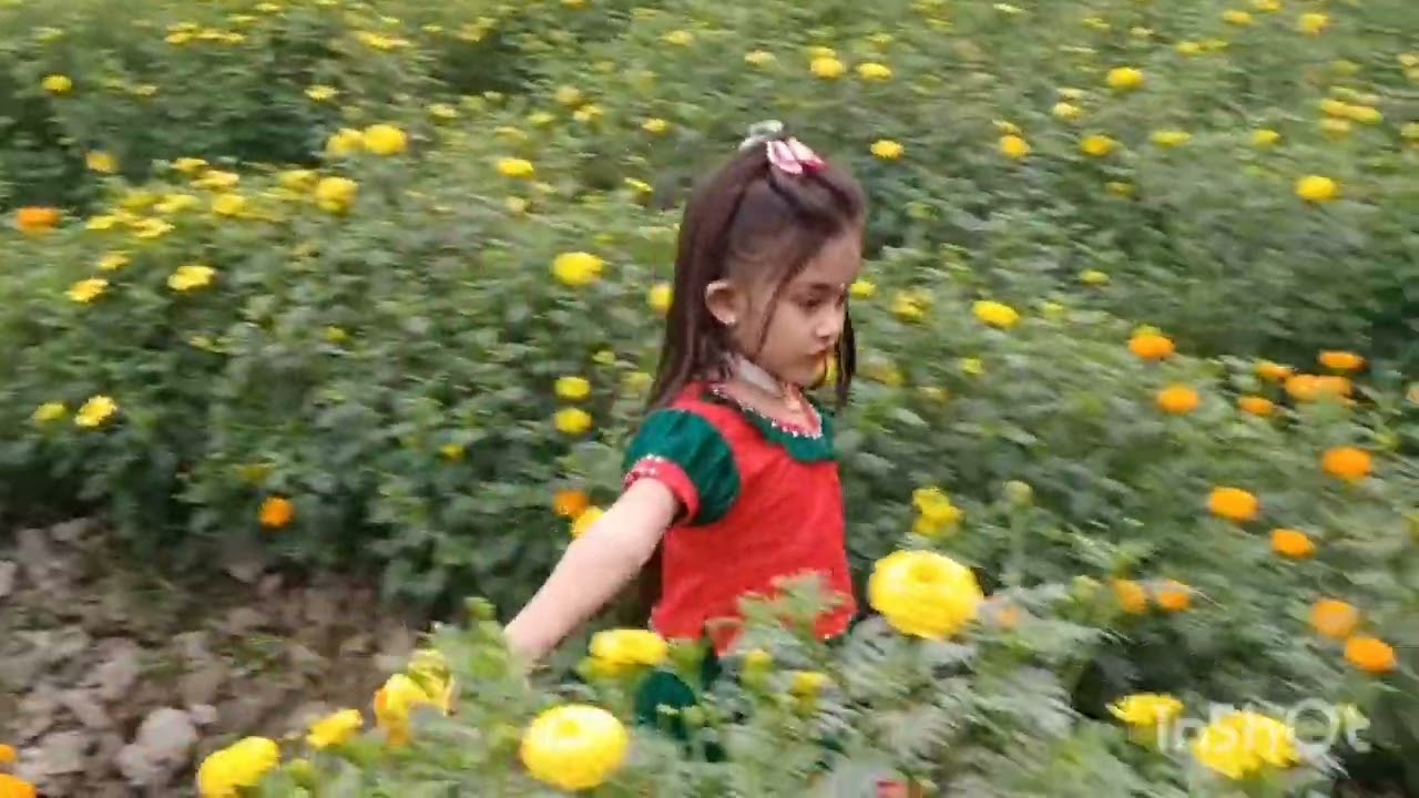 💃🌻নতুন বছরের সেরা গান  ২০২৬ Notun bochorer shera gaan