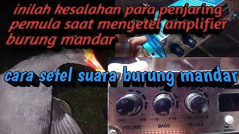 suara burung mandar(cara menyetel suara burung mandar)