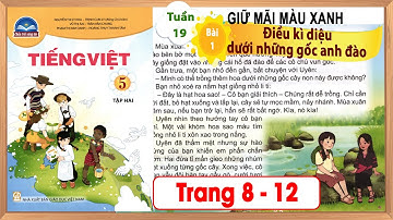 Tiếng Việt lớp 5 chân trời sáng tạo bài 1 tuần 19 - Điều kì diệu dưới những gốc anh đào