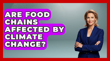 Are Food Chains Affected by Climate Change? | Explaining Ecology News