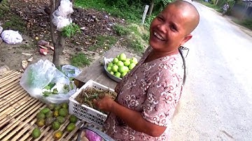 Hình ảnh tản mạn bên đường làng từ Chây Đây (Cô Tô) về An Tức, Tri Tôn, An Giang 20/08/2020