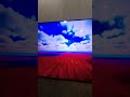 55"Qled 8F#shortvideo #4ktv #samsungtv