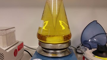 Magnetic stir in erlenmeyer flask (4k)