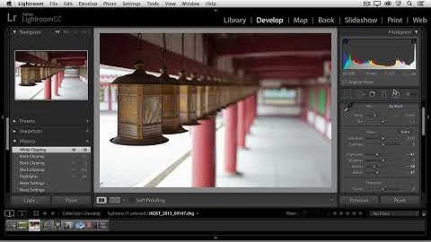 Shadow and Highlight Clipping Warnings In Lightroom