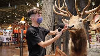 ASMR In Bass Pro Shops