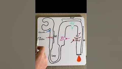 Diuretics in under 2 mins!