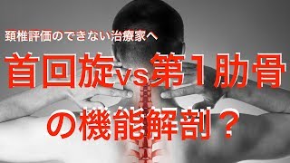 首回旋vs第1肋骨の機能解剖？