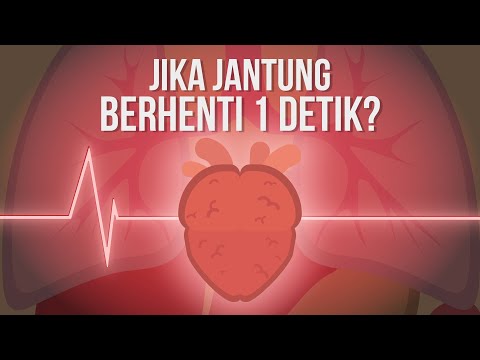 Apakah Manusia Bisa Tahan Tanpa Denyut Jantung 1 Detik Aja?