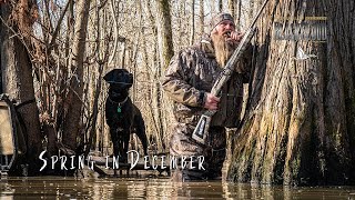 Tough Duck Hunting | Struggle Bus in Arkansas | Dr Duck Black Cloud