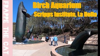 Birch Aquarium Scripps Institute, La Holla by Frappe the cat 20 views 1 year ago 8 minutes, 16 seconds