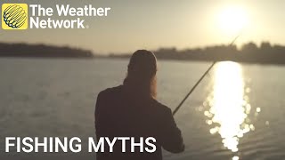 Ilmu di balik mitos memancing untuk membantu Anda mendapatkan hasil tangkapan berikutnya screenshot 4
