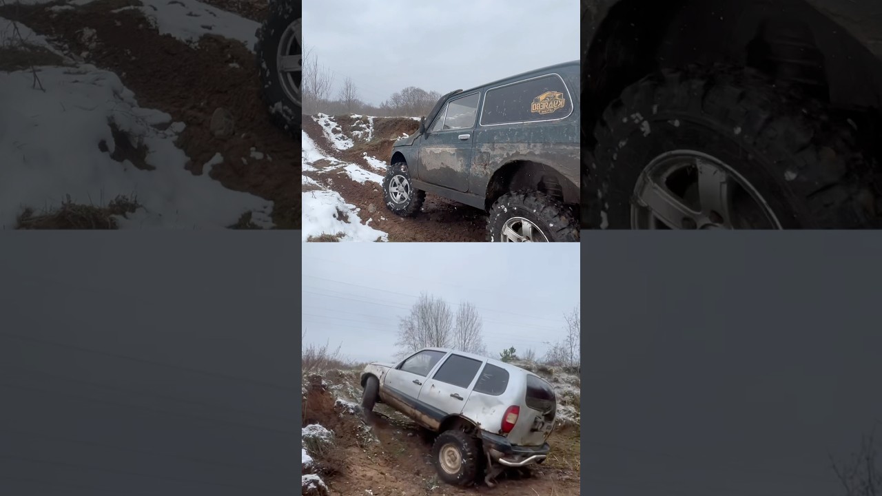 Нивы в гору 