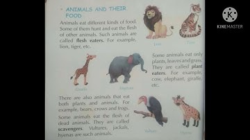 Std-2 EVS chapter 15 The World Of Animals