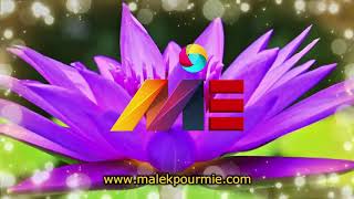 بهترین کشور برای مهاجرت از طریق سرمایه گذاری کدام است؟ _موسسه ملکپور