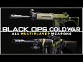 EVERY WEAPON in Black Ops Cold War MULTIPLAYER (Gameplay Showcase)