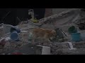 Death toll reaches 10 in Turkey building collapse