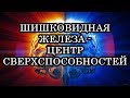 Тайны Сознания - Царь в Голове / Виктор Максименков