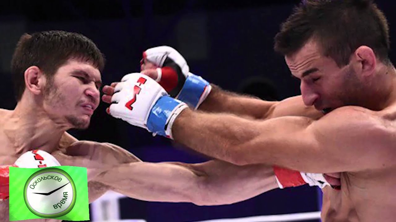 �������� �������� � �������� ������������: ����.