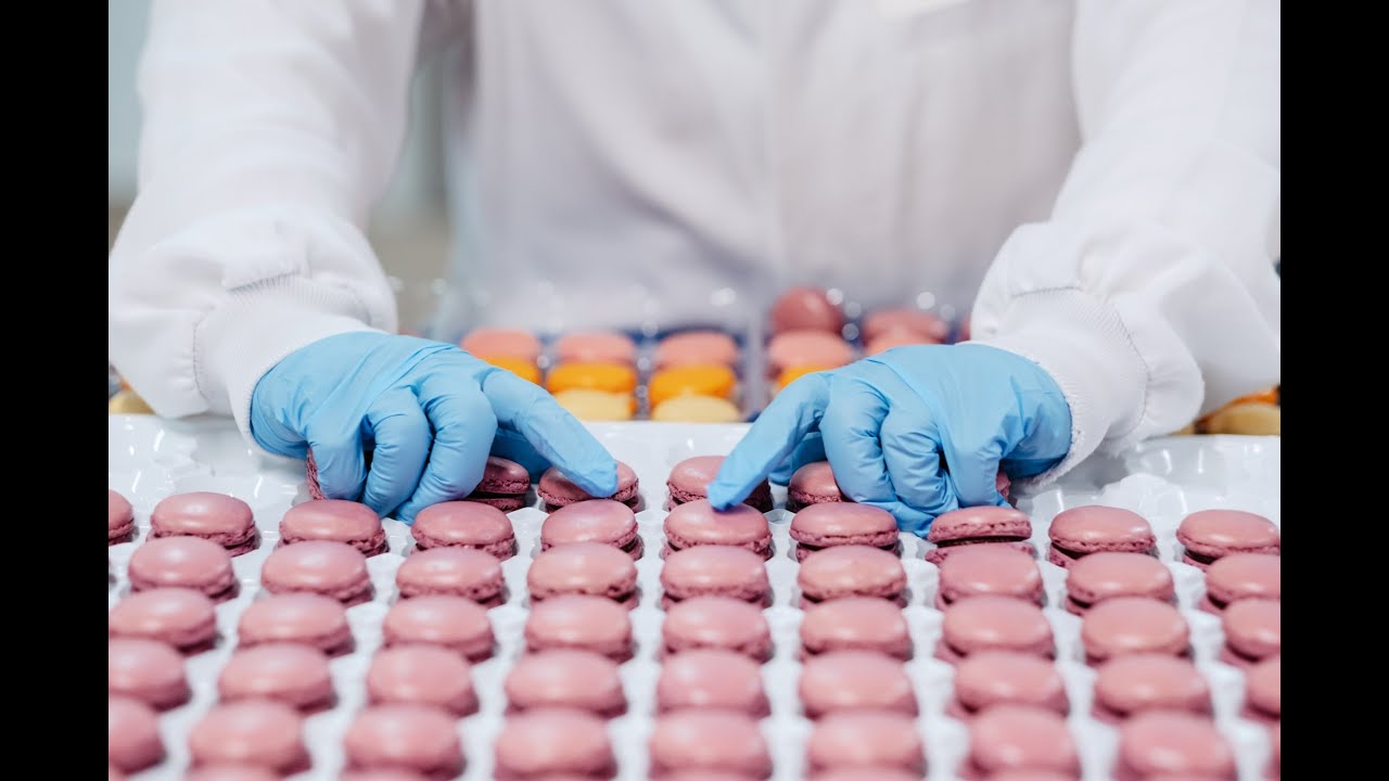 Macaron Factory Macarons production in France at Castelsarrasin - YouTube