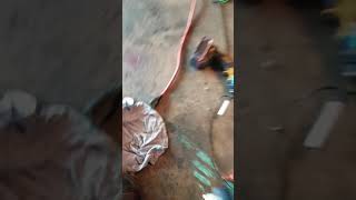 honda cbr 9volt pink wire permanent fix in 2 min guaranteed