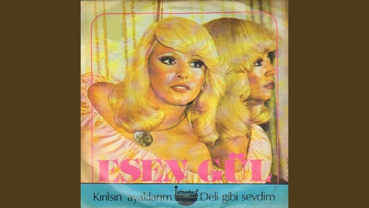 Deli Gibi Sevdim Deli Gibi Sevdim