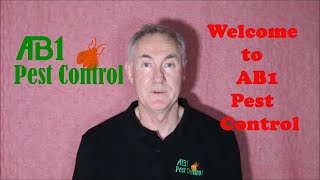 AB1 Pest Control & Termite Inspection St George Introduction