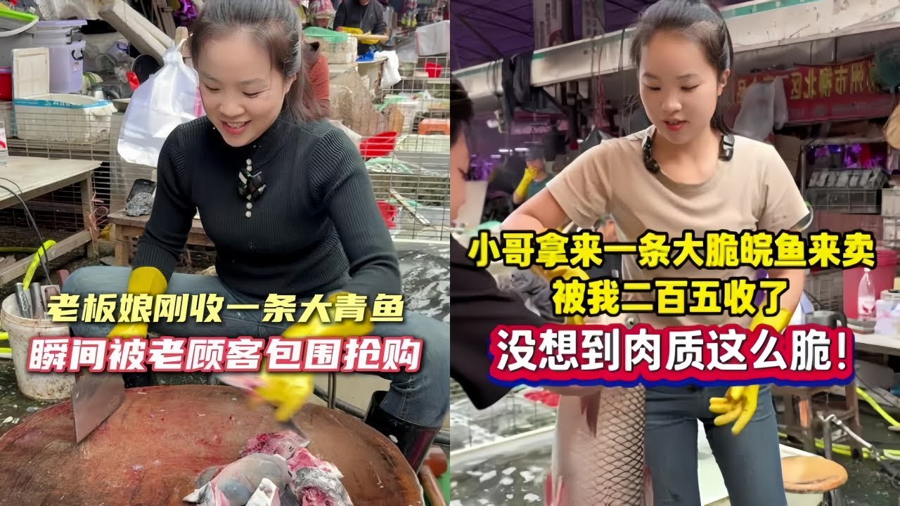 老板娘刚收一条大青鱼，瞬间被老顾客包围抢购！｜小哥拿来一条大脆皖鱼来卖，被我250元收了没想到肉质这么脆！